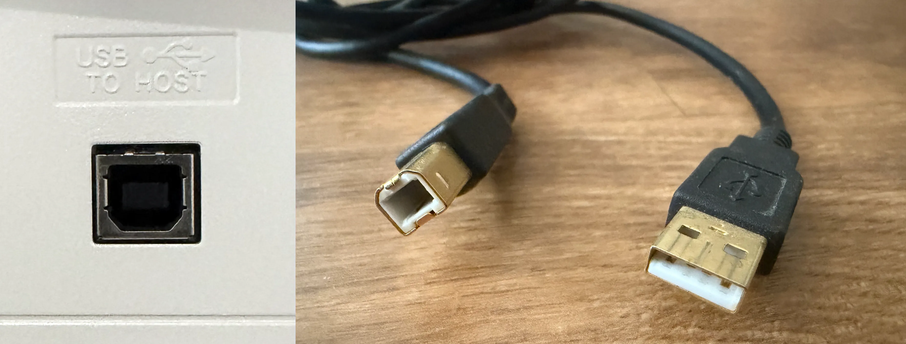 Left: a USB-B socket on a digital piano with USB TO HOST moulded into the casing above it. Right: a USB-B to USB-A cable, showing the small square bevelled USB-B plug and the flat rectangular USB-A plug